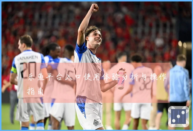乐鱼平台入口使用体验分析与操作指南