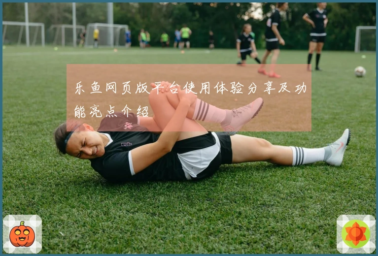 乐鱼网页版平台使用体验分享及功能亮点介绍