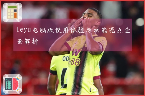 leyu电脑版使用体验与功能亮点全面解析