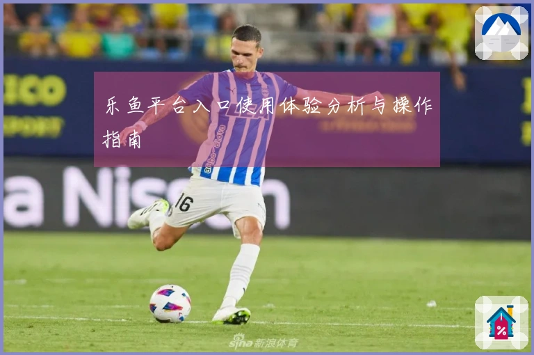 乐鱼平台入口使用体验分析与操作指南