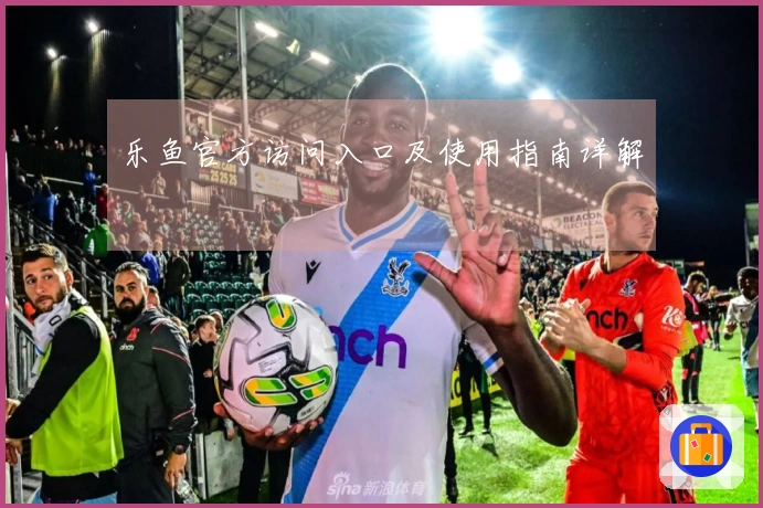 乐鱼官方访问入口及使用指南详解